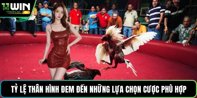 Tỷ lệ thân hình đem đến những lựa chọn cược phù hợp
